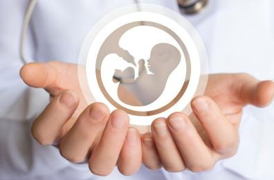 Puglia, ok al piano M5S: 5mila euro alle donne se rinunciano all’aborto