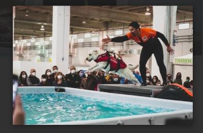 Bari Expolevante: quattro giorni, tra il 22 e il 25 aprile, all'insegna dello sport