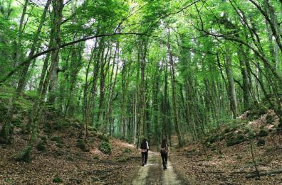 «The greener side of Puglia», così il Gargano approda su The Guardian