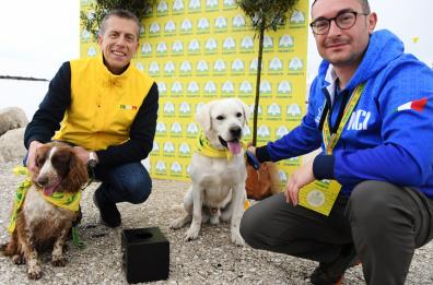 Arrivano i cani anti Xylella per salvare gli ulivi dal batterio killer