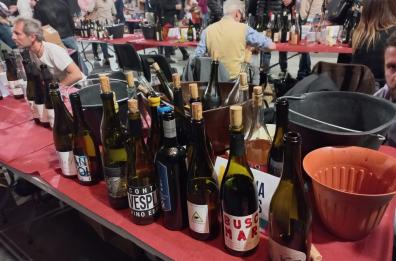 Vini di Vignaioli 2023: Bari si conferma polo d'eccellenza del vino artigianale
