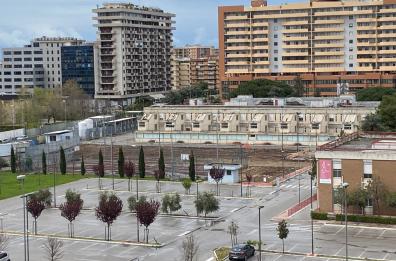 Bari, dietro all'Ospedaletto pini secolari abbattuti per far posto al parcheggio