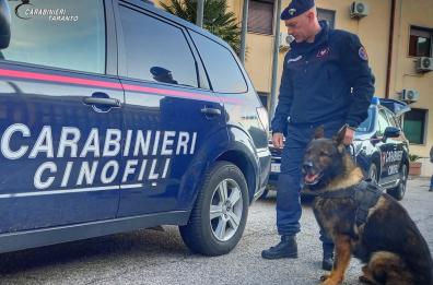 Taranto, spacciavano droga calandola col cestino dal balcone: otto arresti  - IL VIDEO - 