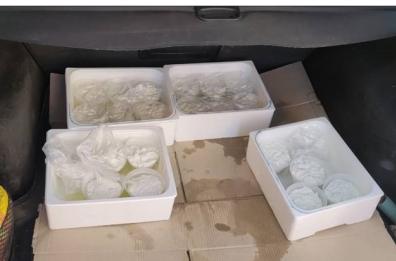 Taranto, 6 kg di ricotta, 120 uova e 270 kg di cozze tutti privi di tracciabilità: 3 denunce