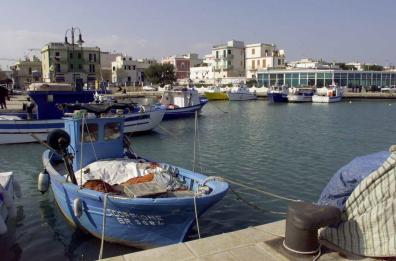Raid in mare tra Savelletri e Torre Canne: rubati centinaia di metri di reti con il pesce impigliato