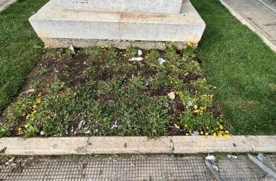 Bari, distrutte dopo soli sette giorni le nuove aiuole fiorite in piazza Diaz