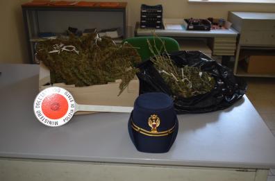Trani, droga a casa del sorvegliato speciale: 37enne finisce in carcere 