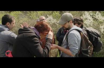 Gravina, al Parco dell'Alta Murgia si celebra la Giornata mondiale delle api