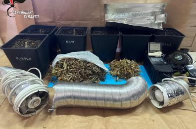 Laterza, in casa una serra artigianale di marijuana: denunciato  un 28enne
