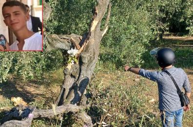 Auto contro ulivo tra Binetto e Bitetto: muore un 17enne, tre feriti. Conducente 21enne arrestato per omicidio stradale VIDEO