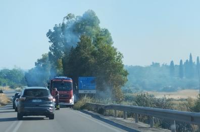 Incendio sulla Statale 275: a fuoco sterpaglie e uliveti secchi a Nociglia 