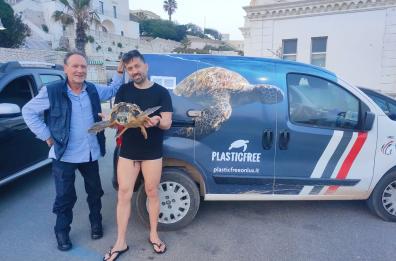 Santa Cesarea Terme, tartaruga ferita salvata da un pescatore: il video