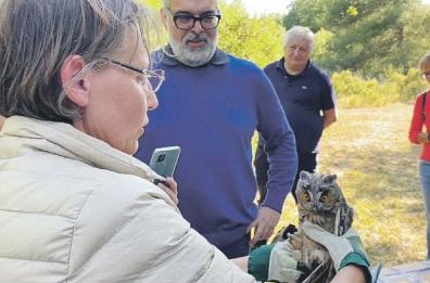 Ostuni, un gufo e quattro ricci curati e reimmessi in natura