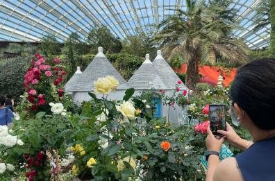 I trulli pugliesi incantano Singapore nella mega serra Flower Dome: progettati da un geometra di Locorotondo