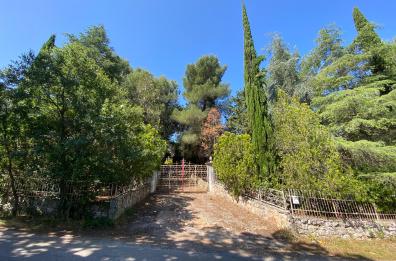 Monopoli, investe e uccide la figlia, 87enne ai domiciliari