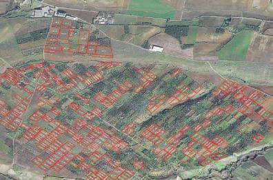Basilicata, In vino veritas del futuro: il satellite vigila sui vigneti