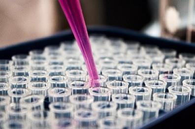 Gemmato annuncia: «Il governo impugnerà la legge della Puglia sul vaccino Hpv»