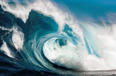 Giornata mondiale degli oceani: ricerca, confronti e arte a Bari per salvare i mari