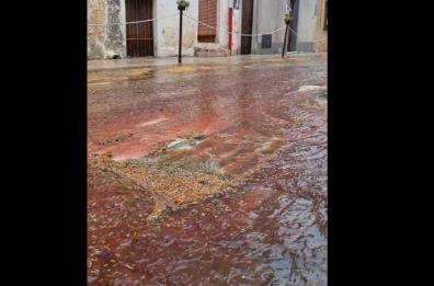 Sud-Salento devastato dalla pioggia: a Patù distrutta l'infiorata di 250 metri