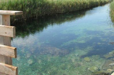 Passeggiate adriatiche, dal parco di Rauccio al fiume Idume