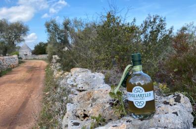 Da Bari arriva Pugliarello, un liquore estratto dalle foglie di ulivo