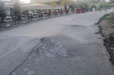 Andria, a Castel del Monte: «Radici troppo pericolose»