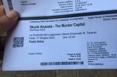 Taranto, perde il biglietto per gli Skunk Anansie: grazie ai social lo recupera
