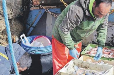 Stop alla pesca a strascico e fermo attività: marinerie baresi sul piede di guerra