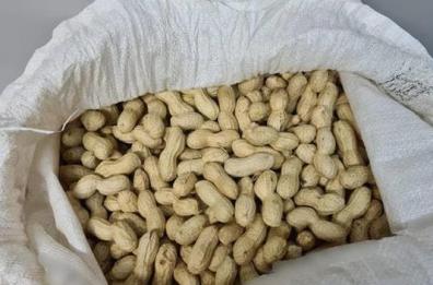 Grottaglie, furto di olive e noccioline in un deposito: tre nei guai