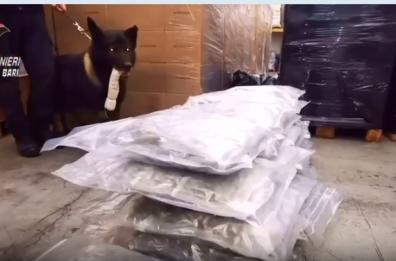 Traffico internazionale di droga, smantellato gruppo criminale nel Barese: tra gli arrestati anche Alceste Cavallari (VD)