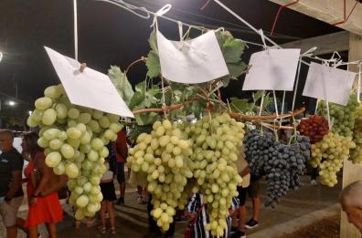 Grottaglie, con «L’Uva noscia» si avvia un percorso di festa e sapori