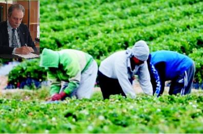 Potenza, ordinanza anti-caldo: stop al lavoro nei campi nelle ore più assolate