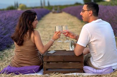 A Foggia l'agricoltura delle relazioni è un campo di girasoli e di lavanda   