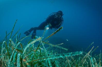 «Posidonia Festival» nell’AMP delle Isole Tremiti: dal 5 al 9 luglio