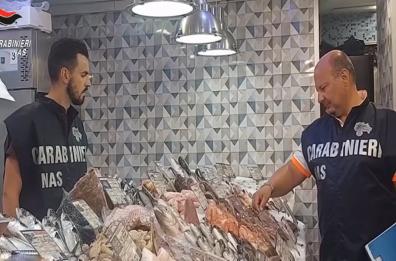 Prodotti ittici adulterati, operazione dei Nas nella Bat: 12 arresti e 6 provvedimenti restrittivi VIDEO