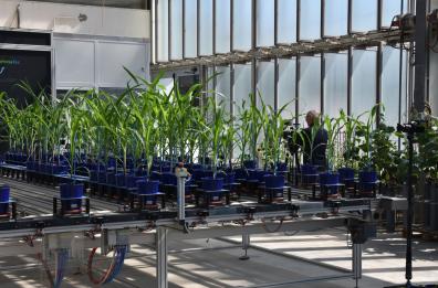 &laquo;Noos&raquo;, il programma di Alberto Angela in Basilicata per &laquo;Phenolab&raquo;