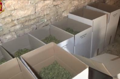 Un laboratorio della droga in piena attività tra Bitonto e Ruvo: dopo un anno arrestato un 64enne