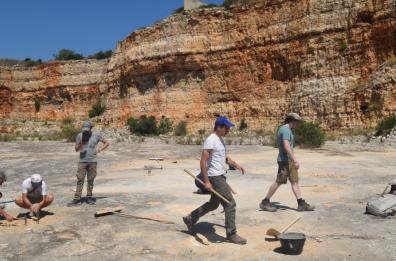 Bari, da Lama Balice a S. Spirito quante orme di dinosauro alle porte del capoluogo