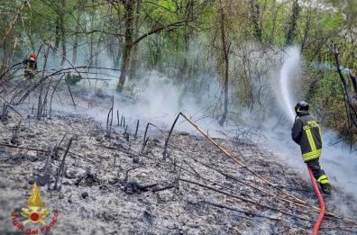 Salento in fiamme, bruciano macchia e sterpaglia: paura per case e b&b