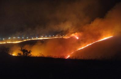 Incendi nel Salento, anche l'agricoltura in ginocchio: paesaggio da ricostruire