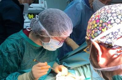 Foggia, giovane aggredita da un cane corso: delicato intervento riuscito al Policlinico