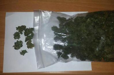 Barletta, trovati 100 grammi di marijuana nell'aiuola di una scuola