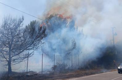 Salento a fuoco tra Frigole e San Foca, le fiamme arrivano fino all'Acaya golf resort