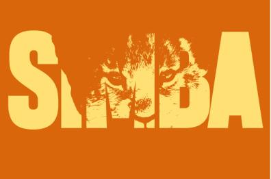 «Simba», i sogni di bambino nel nuovo brano del salentino Il Profilo