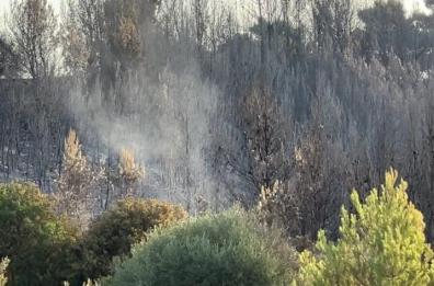 Coldiretti, in Puglia bruciati 2.200 ettari di terreno 