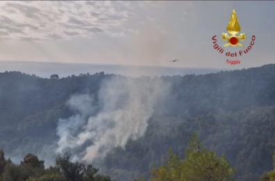 Piromani appiccano tre roghi a Vieste, fiamme spente