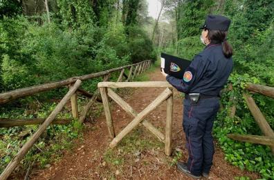 Roghi nel Salento, i forestali a caccia dei piromani con i droni