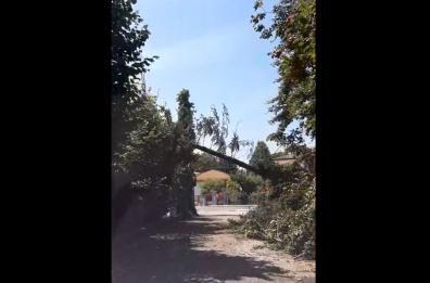 Verona, nubifragio e grandine: Zaia, esteso stato emergenza