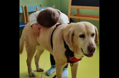 San Severo, «Dopo 10 anni la pet-therapy è sospesa: la Asl ci chiarisca il perché»