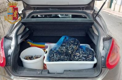Taranto, la polizia sequestra 35 sacchi di cozze 
